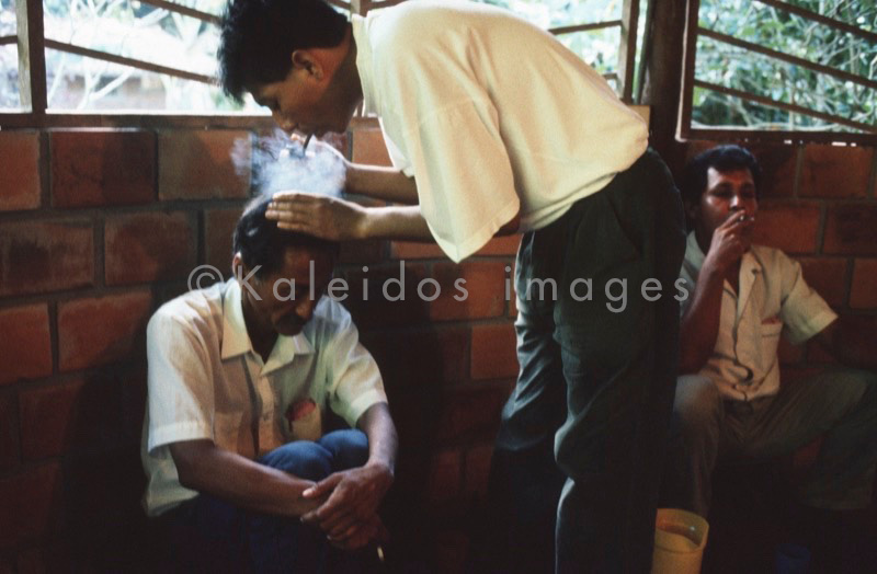 Takiwasi;Ayahuasca,Hervé Merliac,Kaleidos images;La parole à l'image;Aristolochia didyma;Yawar Panga