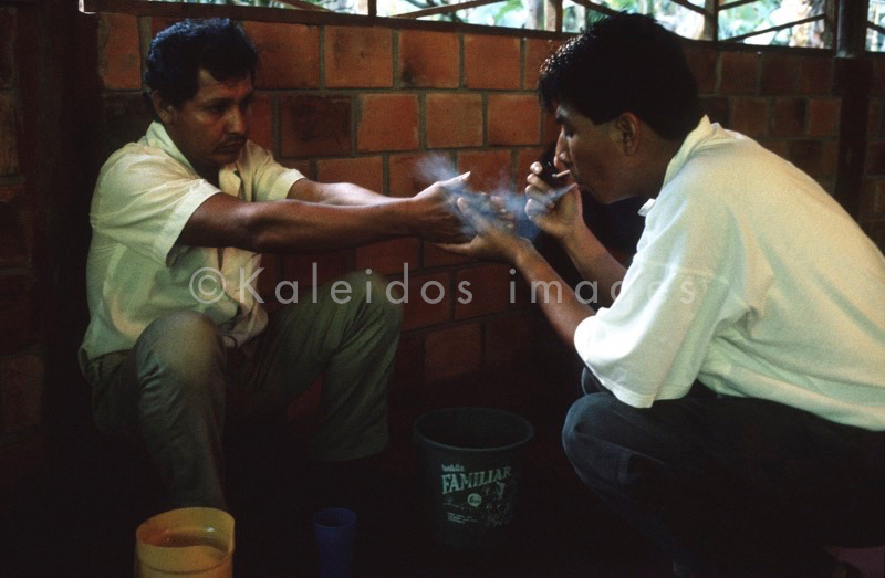 Takiwasi;Ayahuasca,Hervé Merliac,Kaleidos images;La parole à l'image;Aristolochia didyma;Yawar Panga