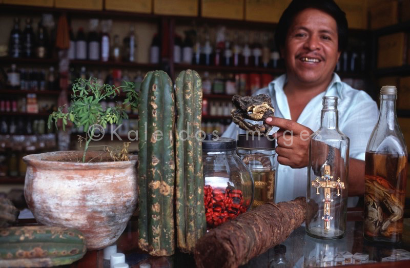 Nicotiana tabacum;Echinopsis pachanoi;Cactus San Pedro;Tobacco;Nicotiana tabacum;Peganum harmala;Harmal;Rue de syrie;Rue Sauvage;Ayahuasca;Hervé Merliac;Kaleidos images;La parole à l'image;Herbalists;Salesman;Salesmen;Vendors;Medicinal plants;Traditional medicine