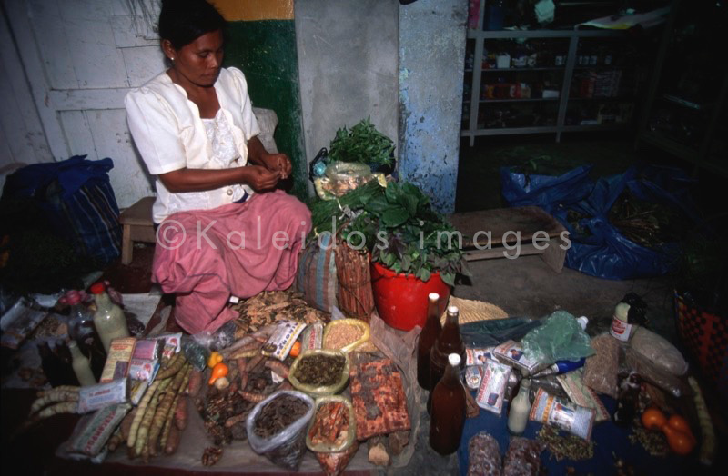 Ayahuasca;Hervé Merliac;Kaleidos images;La parole à l'image;Herbalists;Vendors;Medicinal plants;Traditional medicine