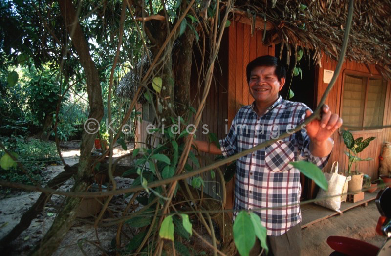 Banisteriopsis Caapi,Ayahuasca,Hervé Merliac,Kaleidos images;La parole à l'image;Don Guillermo Arrevalo;Guillermo Arrevalo