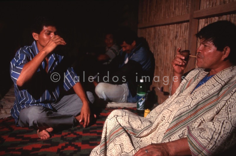 Ayahuasca,Hervé Merliac,Kaleidos images;La parole à l'image;Don Guillermo Arrevalo;Guillermo Arrevalo