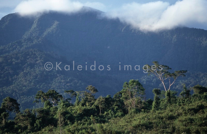 Ayahuasca,Hervé Merliac,Kaleidos images;La parole à l'image;Landscapes;Mountains