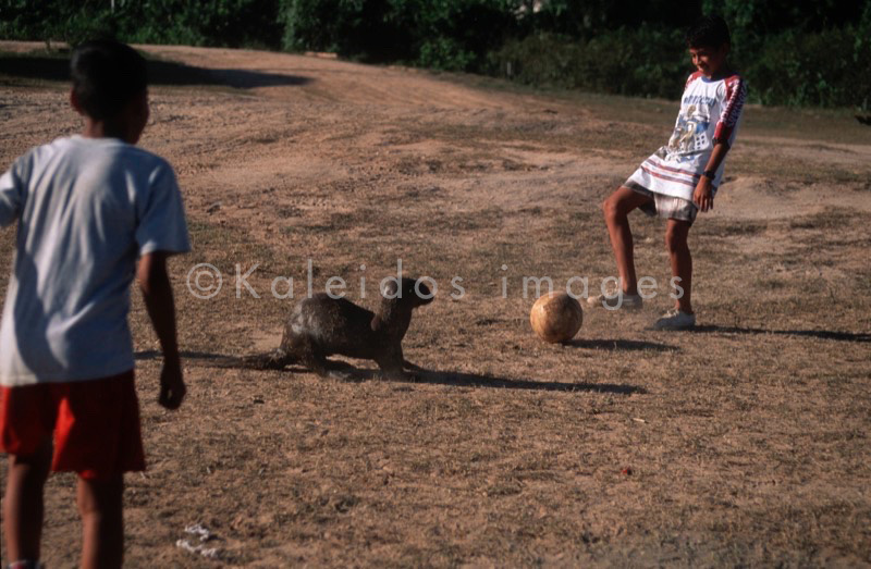 Hervé Merliac,Kaleidos images;La parole à l'image;Boys;Children;Otters;Soccer;Football;Ball;Play;Games