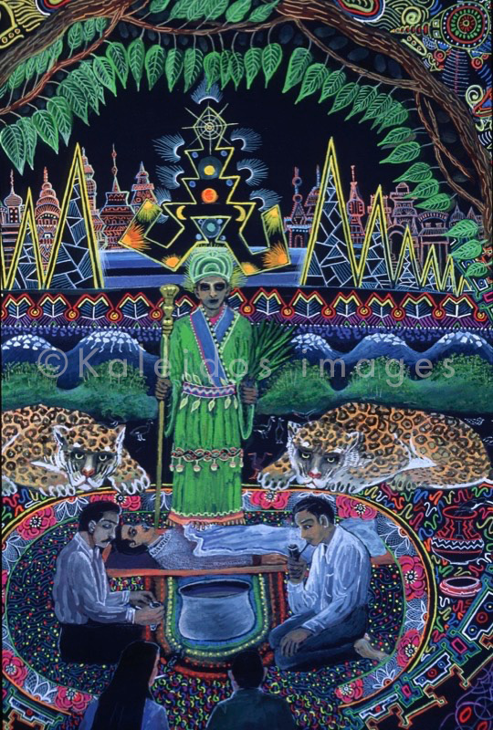 Ayahuasca,Hervé Merliac,Kaleidos images;La parole à l'image;Pablo César Amaringo;Paintings;Art