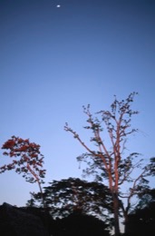 Ayahuasca,Hervé-Merliac,Kaleidos-images;La-parole-à-limage;Sunsets