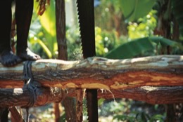 Feet;Foot;Haiti;Kaleidos;Kaleidos-images;Katherine-Marie-Pagé;Katherine-Marie-François;La-parole-à-limage;Pit-sawyer;Saws;Wood