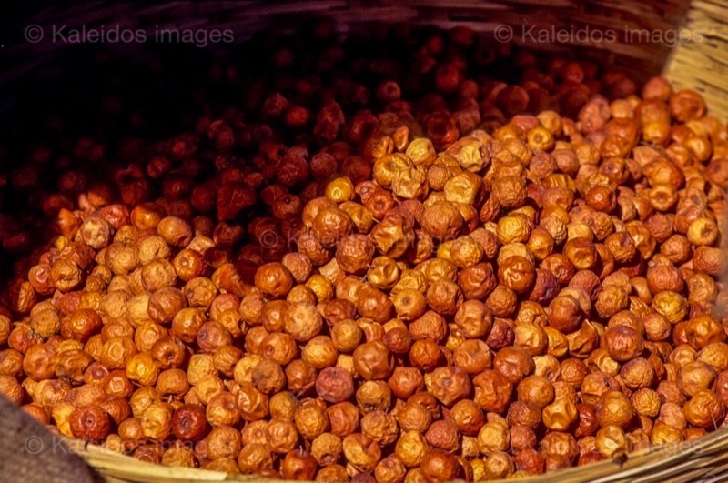 Jujuba;Kaleidos;Kaleidos images;Karachi;La parole à l'image;Pakistan;Philippe Guéry;Sind;Ziziphus;Ziziphus jujuba;Dried Jujuba