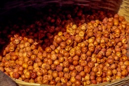 Jujuba;Kaleidos;Kaleidos-images;Karachi;La-parole-à-limage;Pakistan;Philippe-Guéry;Sind;Ziziphus;Ziziphus-jujuba;Dried-Jujuba