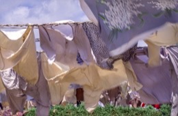 Drying;Juna-Dhobi-Ghat;Kaleidos;Kaleidos-images;Karachi;La-parole-à-limage;Laundries;Laundry;Pakistan;Philippe-Guéry;Sind