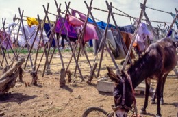 Drying;Juna-Dhobi-Ghat;Kaleidos;Kaleidos-images;Karachi;La-parole-à-limage;Laundries;Laundry;Pakistan;Philippe-Guéry;Sind