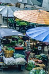 Damnoen-Saduak;Kaleidos;Kaleidos-images;La-parole-à-limage;Markets;Philippe-Guéry;Thailand