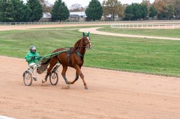 Drivers,-French-Trotters,-Grosbois,-Harness-racing,-Horse,-Horses,-Kaleidos,-Kaleidos-images,-La-parole-à-limage,-Marolles-en-Brie,-Stories-Pictures,-Sulkies,-Sulky,-Tarek-Charara,-Trot,-Trotter,-Trotters,-Trotteurs,-Trotting,-Toni-Ripoll