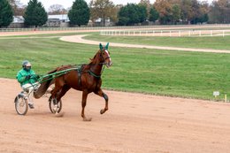 Drivers,-French-Trotters,-Grosbois,-Harness-racing,-Horse,-Horses,-Kaleidos,-Kaleidos-images,-La-parole-à-limage,-Marolles-en-Brie,-Stories-Pictures,-Sulkies,-Sulky,-Tarek-Charara,-Trot,-Trotter,-Trotters,-Trotteurs,-Trotting,-Toni-Ripoll
