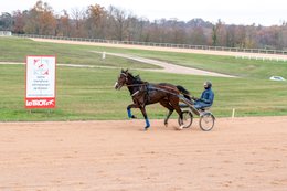 Drivers,-French-Trotters,-Grosbois,-Harness-racing,-Horse,-Horses,-Kaleidos,-Kaleidos-images,-La-parole-à-limage,-Marolles-en-Brie,-Stories-Pictures,-Sulkies,-Sulky,-Tarek-Charara,-Trot,-Trotter,-Trotters,-Trotteurs,-Trotting,-Toni-Ripoll