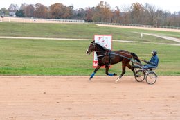 Drivers,-French-Trotters,-Grosbois,-Harness-racing,-Horse,-Horses,-Kaleidos,-Kaleidos-images,-La-parole-à-limage,-Marolles-en-Brie,-Stories-Pictures,-Sulkies,-Sulky,-Tarek-Charara,-Trot,-Trotter,-Trotters,-Trotteurs,-Trotting,-Toni-Ripoll