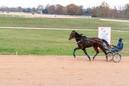 Drivers,-French-Trotters,-Grosbois,-Harness-racing,-Horse,-Horses,-Kaleidos,-Kaleidos-images,-La-parole-à-limage,-Marolles-en-Brie,-Stories-Pictures,-Sulkies,-Sulky,-Tarek-Charara,-Trot,-Trotter,-Trotters,-Trotteurs,-Trotting,-Toni-Ripoll