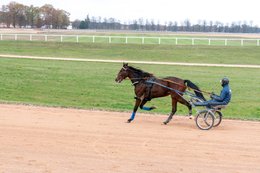 Drivers,-French-Trotters,-Grosbois,-Harness-racing,-Horse,-Horses,-Kaleidos,-Kaleidos-images,-La-parole-à-limage,-Marolles-en-Brie,-Stories-Pictures,-Sulkies,-Sulky,-Tarek-Charara,-Trot,-Trotter,-Trotters,-Trotteurs,-Trotting,-Toni-Ripoll