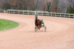 Drivers,-French-Trotters,-Grosbois,-Harness-racing,-Horse,-Horses,-Kaleidos,-Kaleidos-images,-La-parole-à-limage,-Marolles-en-Brie,-Stories-Pictures,-Sulkies,-Sulky,-Tarek-Charara,-Trot,-Trotter,-Trotters,-Trotteurs,-Trotting,-Toni-Ripoll