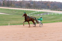 Drivers,-French-Trotters,-Grosbois,-Harness-racing,-Horse,-Horses,-Kaleidos,-Kaleidos-images,-La-parole-à-limage,-Marolles-en-Brie,-Stories-Pictures,-Sulkies,-Sulky,-Tarek-Charara,-Trot,-Trotter,-Trotters,-Trotteurs,-Trotting,-Toni-Ripoll