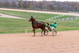 Drivers,-French-Trotters,-Grosbois,-Harness-racing,-Horse,-Horses,-Kaleidos,-Kaleidos-images,-La-parole-à-limage,-Marolles-en-Brie,-Stories-Pictures,-Sulkies,-Sulky,-Tarek-Charara,-Trot,-Trotter,-Trotters,-Trotteurs,-Trotting,-Toni-Ripoll