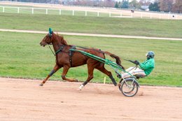 Drivers,-French-Trotters,-Grosbois,-Harness-racing,-Horse,-Horses,-Kaleidos,-Kaleidos-images,-La-parole-à-limage,-Marolles-en-Brie,-Stories-Pictures,-Sulkies,-Sulky,-Tarek-Charara,-Trot,-Trotter,-Trotters,-Trotteurs,-Trotting,-Toni-Ripoll