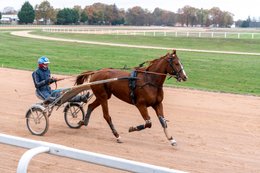 Drivers,-French-Trotters,-Grosbois,-Harness-racing,-Horse,-Horses,-Kaleidos,-Kaleidos-images,-La-parole-à-limage,-Marolles-en-Brie,-Stories-Pictures,-Sulkies,-Sulky,-Tarek-Charara,-Trot,-Trotter,-Trotters,-Trotteurs,-Trotting,-Toni-Ripoll