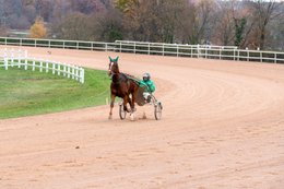 Drivers,-French-Trotters,-Grosbois,-Harness-racing,-Horse,-Horses,-Kaleidos,-Kaleidos-images,-La-parole-à-limage,-Marolles-en-Brie,-Stories-Pictures,-Sulkies,-Sulky,-Tarek-Charara,-Trot,-Trotter,-Trotters,-Trotteurs,-Trotting,-Toni-Ripoll
