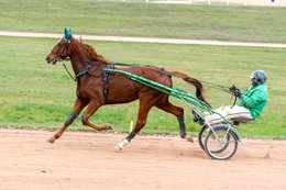 Drivers,-French-Trotters,-Grosbois,-Harness-racing,-Horse,-Horses,-Kaleidos,-Kaleidos-images,-La-parole-à-limage,-Marolles-en-Brie,-Stories-Pictures,-Sulkies,-Sulky,-Tarek-Charara,-Trot,-Trotter,-Trotters,-Trotteurs,-Trotting,-Toni-Ripoll