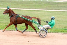 Drivers,-French-Trotters,-Grosbois,-Harness-racing,-Horse,-Horses,-Kaleidos,-Kaleidos-images,-La-parole-à-limage,-Marolles-en-Brie,-Stories-Pictures,-Sulkies,-Sulky,-Tarek-Charara,-Trot,-Trotter,-Trotters,-Trotteurs,-Trotting,-Toni-Ripoll