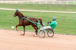 Drivers,-French-Trotters,-Grosbois,-Harness-racing,-Horse,-Horses,-Kaleidos,-Kaleidos-images,-La-parole-à-limage,-Marolles-en-Brie,-Stories-Pictures,-Sulkies,-Sulky,-Tarek-Charara,-Trot,-Trotter,-Trotters,-Trotteurs,-Trotting,-Toni-Ripoll