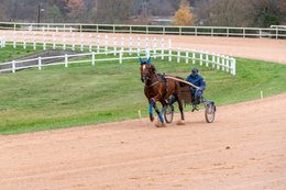 Drivers,-French-Trotters,-Grosbois,-Harness-racing,-Horse,-Horses,-Kaleidos,-Kaleidos-images,-La-parole-à-limage,-Marolles-en-Brie,-Stories-Pictures,-Sulkies,-Sulky,-Tarek-Charara,-Trot,-Trotter,-Trotters,-Trotteurs,-Trotting,-Toni-Ripoll