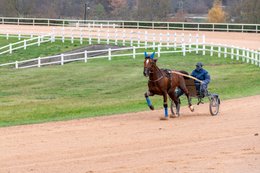 Drivers,-French-Trotters,-Grosbois,-Harness-racing,-Horse,-Horses,-Kaleidos,-Kaleidos-images,-La-parole-à-limage,-Marolles-en-Brie,-Stories-Pictures,-Sulkies,-Sulky,-Tarek-Charara,-Trot,-Trotter,-Trotters,-Trotteurs,-Trotting,-Toni-Ripoll