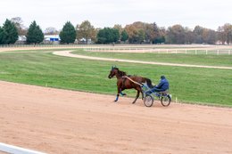 Drivers,-French-Trotters,-Grosbois,-Harness-racing,-Horse,-Horses,-Kaleidos,-Kaleidos-images,-La-parole-à-limage,-Marolles-en-Brie,-Stories-Pictures,-Sulkies,-Sulky,-Tarek-Charara,-Trot,-Trotter,-Trotters,-Trotteurs,-Trotting,-Toni-Ripoll