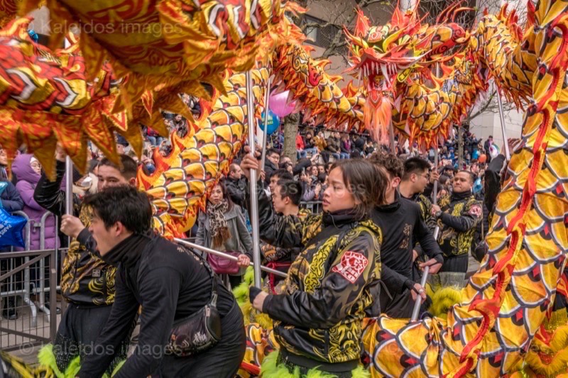 Chinese New Year, Dragons, Dragons dance, Kaleidos, Kaleidos images, La parole à l'image, Lunar New year, Paris, Paris XIII