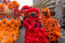 Belleville;Chinese-New-Year;France;Kaleidos;Kaleidos-images;La-parole-à-limage;Lunar-New-Year;Paris;Paris-19;Paris-XIX;Tarek-Charara;Lions;Lion-dance;-Dance