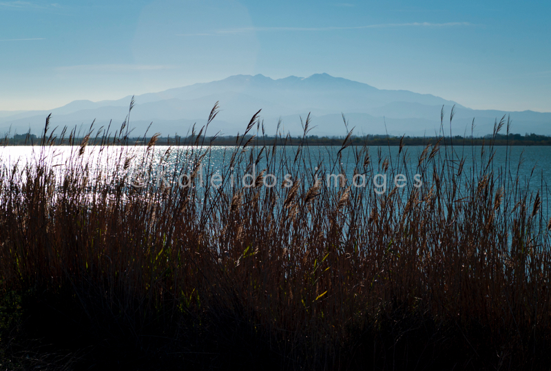 Canigou, Common Reed, Kaleidos, Kaleidos images, Laguna, Landscapes,  Mountain, Mountain range, Phragmites australis, Pond, Reed, Tarek Charara, Water