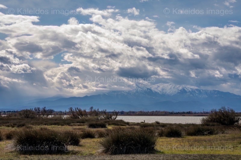 Canet;Canigó;Etang de Canet;France;Kaleidos;Kaleidos images;La parole à l'image;Landscapes;Occitanie;Pond;Pyrenees;Pyrénées orientales;Roussillon;Tarek Charara;Étang de Canet-Saint-Nazaire