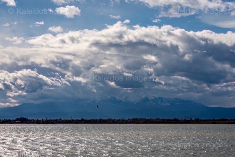 Canet;Canigó;Etang de Canet;France;Kaleidos;Kaleidos images;La parole à l'image;Landscapes;Occitanie;Pond;Pyrenees;Pyrénées orientales;Roussillon;Tarek Charara;Étang de Canet-Saint-Nazaire