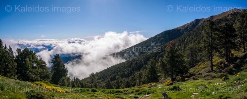 Panoramas;France;Landscapes;Pyrenees;Pyrénées orientales;Roussillon;Taurinya;Tarek Charara;Kaleidos;Kaleidos images;La parole à l'image