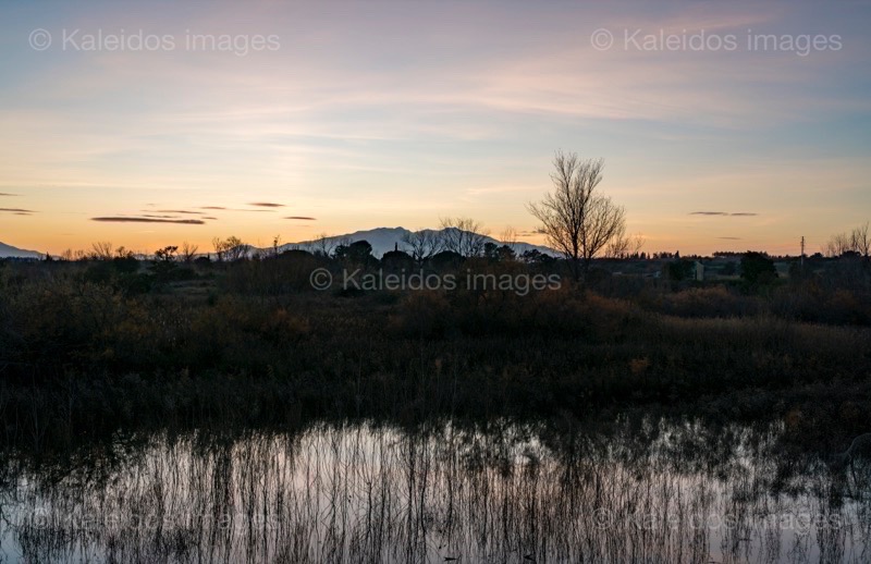 Canigó;Coucher de soleil;Coucher du soleil;France;Kaleidos;Kaleidos images;La parole à l'image;Lake of Villeneuve de la Raho;Lake of Raho;Lakes;Pyrenees;Pyrénées-Orientales;Sunsets;Tarek Charara
