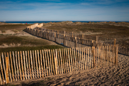 Beaches,-Dunes,-Fences,-Kaleidos,-Kaleidos-images,-Mediterranean,-Mediterranean-Sea,-Paths,-Sea,-Tarek-Charara