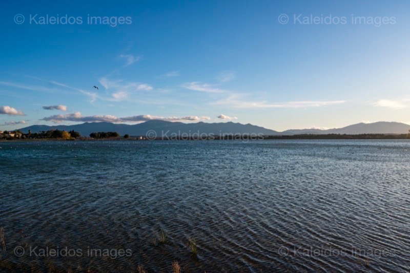 Albera;Albera massif;France;Lake of Villeneuve;Lake of Villeneuve de la Raho;Lakes;Pyrenees;Pyrénées orientales;Roussillon