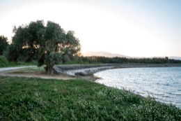 Canigó;France;Lake-of-Villeneuve;Lake-of-Villeneuve-de-la-Raho;Lakes;Pyrénées-orientales;Roussillon;Trees;Winds