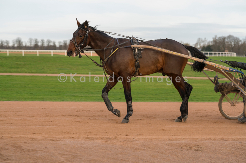 Domaine de Grosbois;Drivers;French Trotters;Grosbois;Harness racing;Horse;Horses;Kaleidos;Kaleidos images;Marolles-en-Brie;Sulkies;Sulky;Tarek Charara;Trot;Trotters;Trotting
