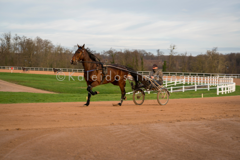 Domaine de Grosbois;Drivers;French Trotters;Grosbois;Harness racing;Horse;Horses;Kaleidos;Kaleidos images;Marolles-en-Brie;Sulkies;Sulky;Tarek Charara;Trot;Trotters;Trotting;Philippe Allaire