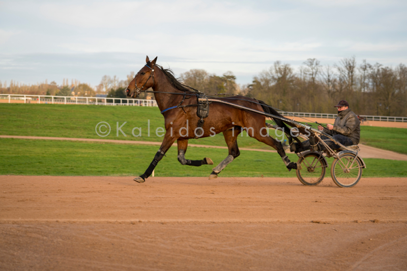 Domaine de Grosbois;Drivers;French Trotters;Grosbois;Harness racing;Horse;Horses;Kaleidos;Kaleidos images;Marolles-en-Brie;Sulkies;Sulky;Tarek Charara;Trot;Trotters;Trotting;Philippe Allaire