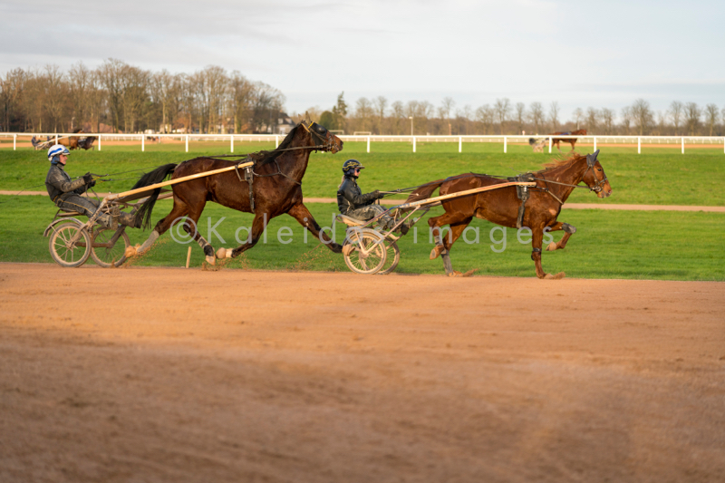 Domaine de Grosbois;Drivers;French Trotters;Grosbois;Harness racing;Horse;Horses;Kaleidos;Kaleidos images;Marolles-en-Brie;Sulkies;Sulky;Tarek Charara;Trot;Trotters;Trotting