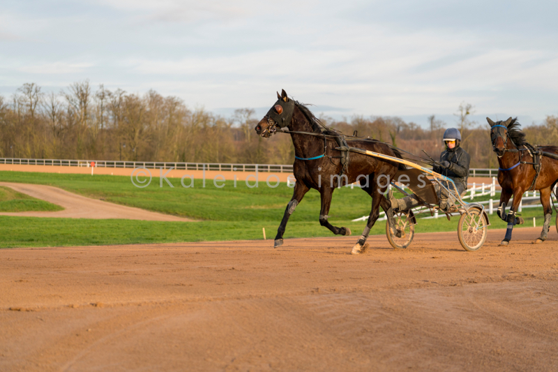 Domaine de Grosbois;Drivers;French Trotters;Grosbois;Harness racing;Horse;Horses;Kaleidos;Kaleidos images;Marolles-en-Brie;Sulkies;Sulky;Tarek Charara;Trot;Trotters;Trotting