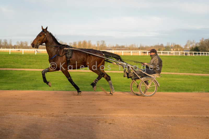 Domaine de Grosbois;Drivers;French Trotters;Grosbois;Harness racing;Horse;Horses;Kaleidos;Kaleidos images;Marolles-en-Brie;Sulkies;Sulky;Tarek Charara;Trot;Trotters;Trotting;Philippe Allaire